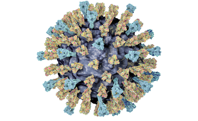 morbillo: crescono i numeri di contagi in Italia