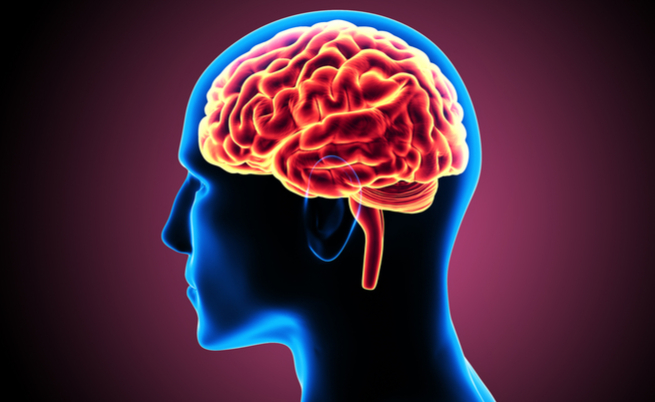 Alzheimer, Parkinson e Huntington sono malattie neurodegenerative con alcuni legami: vediamo quali