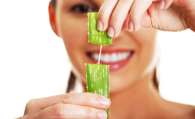 Le proprietà curative dell'aloe vera e i tipi di aloe vera