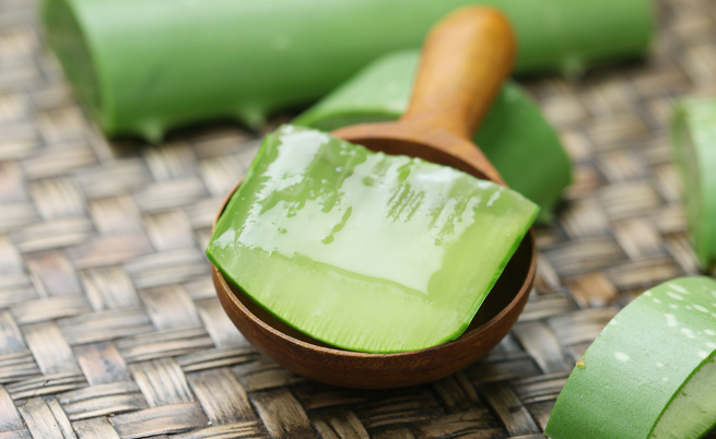 Il gel di aloe vera