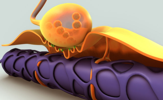 In arrivo in Italia il Radicut, un nuovo farmaco per la cura della SLA