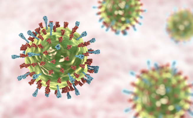 La parotite contratta in età adulta aumenta il rischio di sterilità: vediamo perché