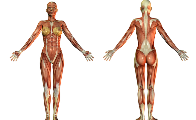 atrofia muscolare: sintomi, cause e rimedi