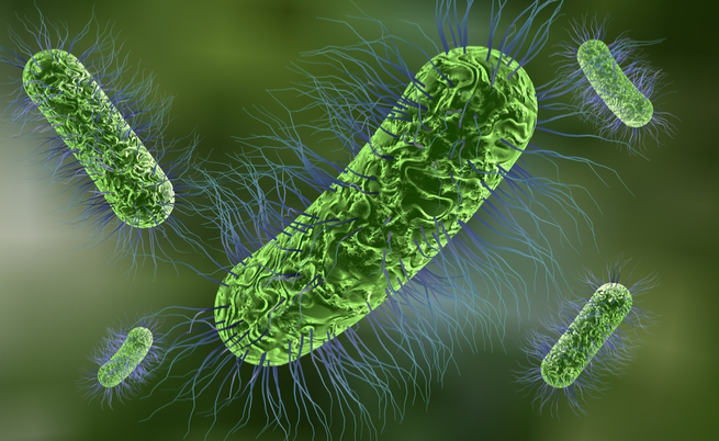 le cause della diarrea in estate e alcuni consigli per prevenirla