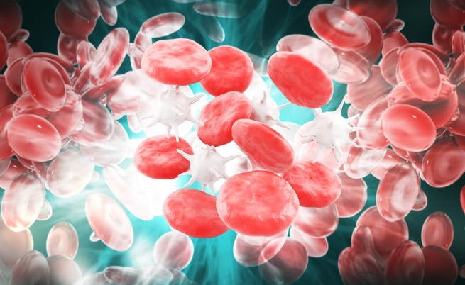 Sangue fattore rh positivo e rh negativo: tutte le caratteristiche