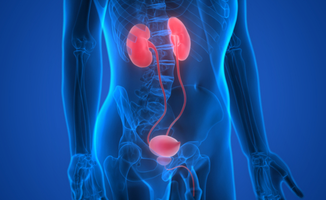 incontinenza: cause e rimedi