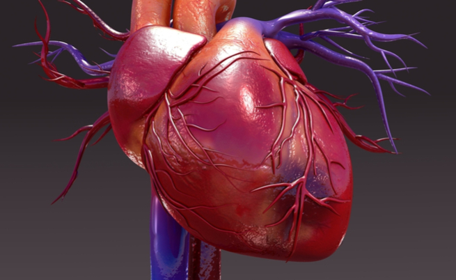malattie cardiovascolari: come affrontare al meglio l'estate