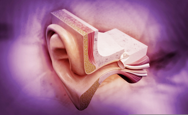 mancanza di equilibrio: la colpa è dell'orecchio