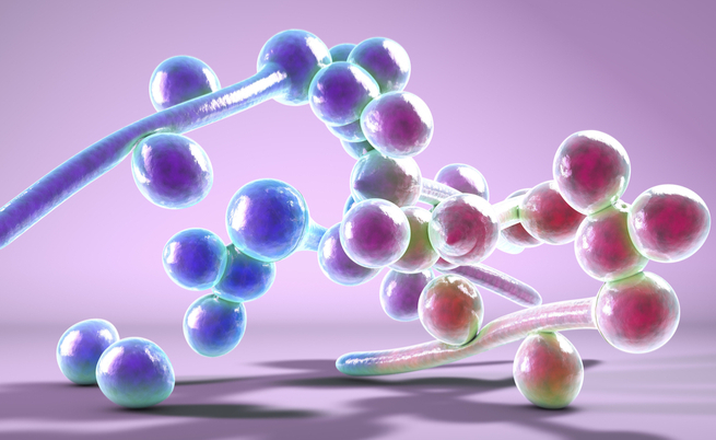 candida orale: come curale l'infezione con rimedi naturali