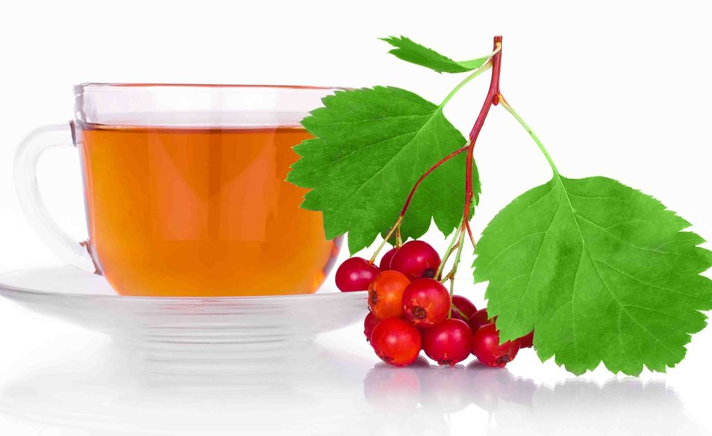 biancospino: i benefici