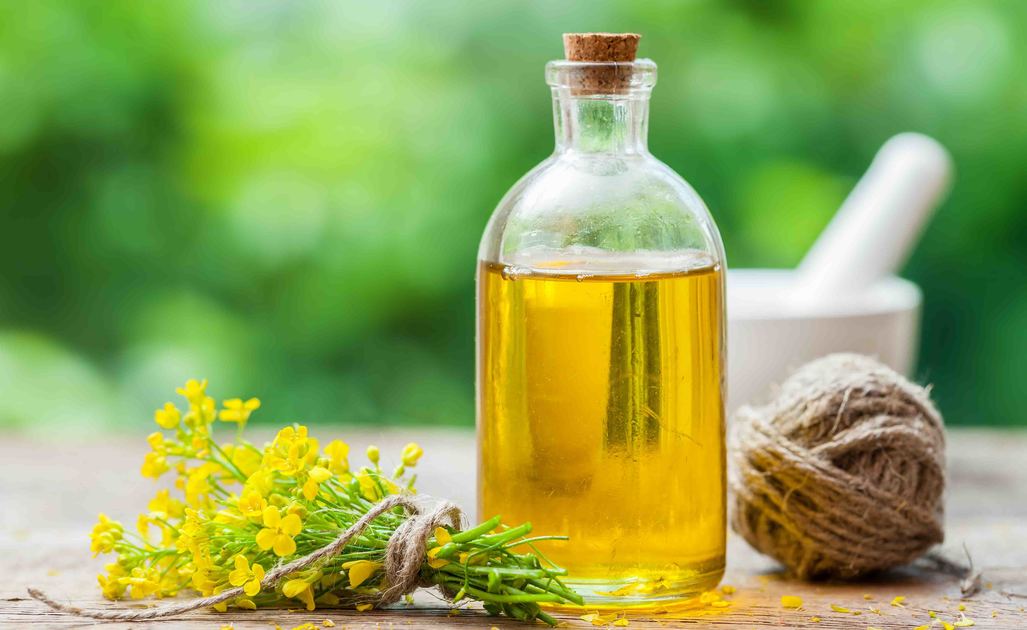 steroli e colesterolo