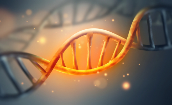 10 curiosità sul dna