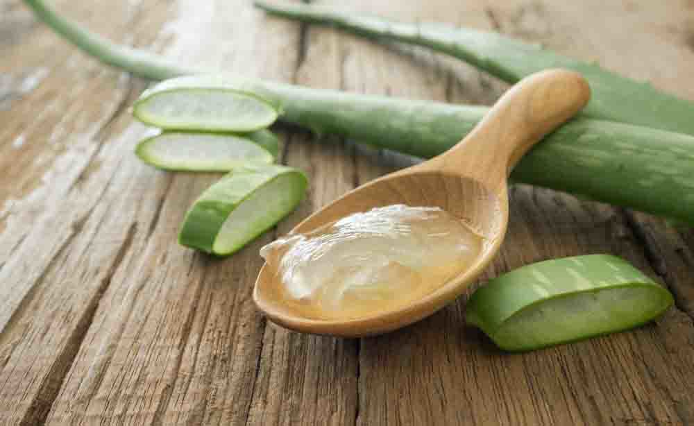 aloe vera: i benefici per la salute