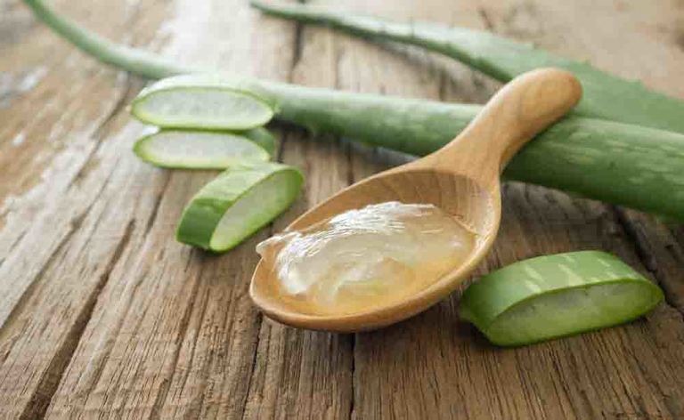 aloe vera: i benefici per la salute