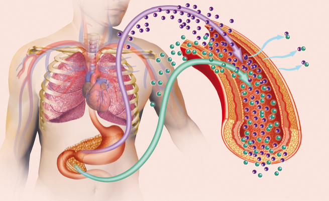 Combattere il diabete con le fibre
