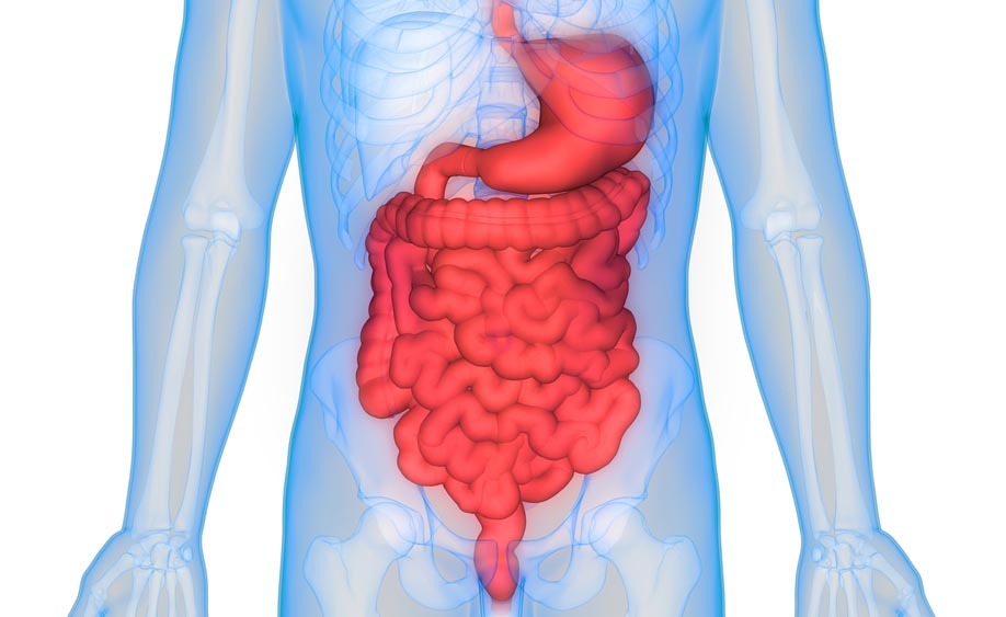 La forma delle feci: vediamo cosa significa