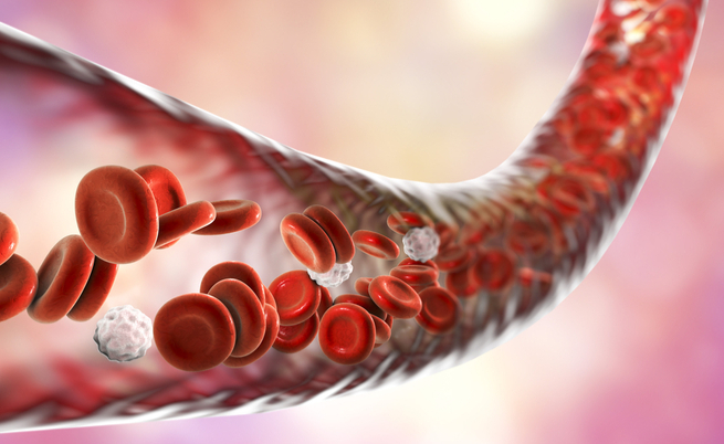 Gruppi sanguigni: le caratteristiche