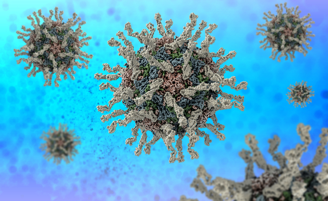 Poliomielite: pericolo diffusione in EU