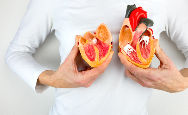 Nuove cure per le patologie del cuore