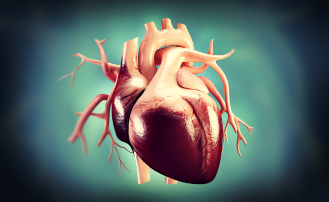 Morte cardiaca improvvisa