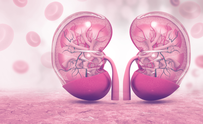 Fosforo e malattie renali