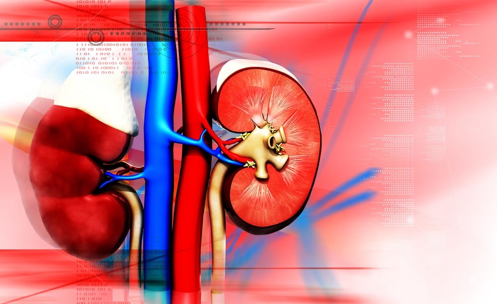 Insufficienza renale