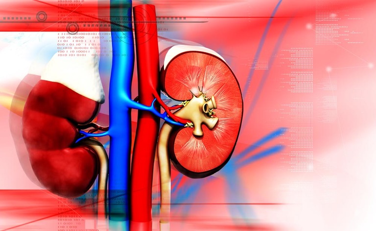 Insufficienza renale