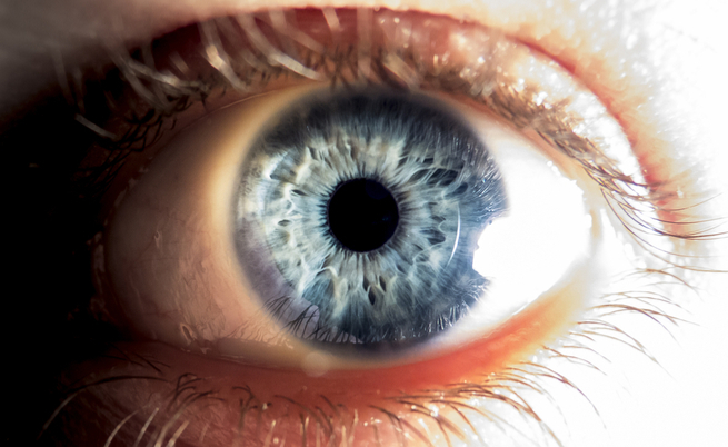 Congresso Internazionale SOI: dal 24 al 27 maggio