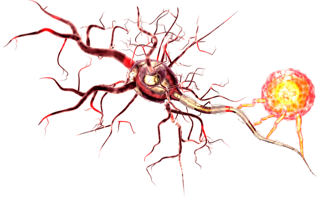 Sclerosi multipla e formicolio