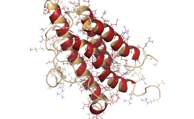 Anemia e malattia renali