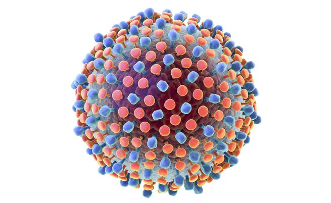I pazienti con epatite C possono donare i reni