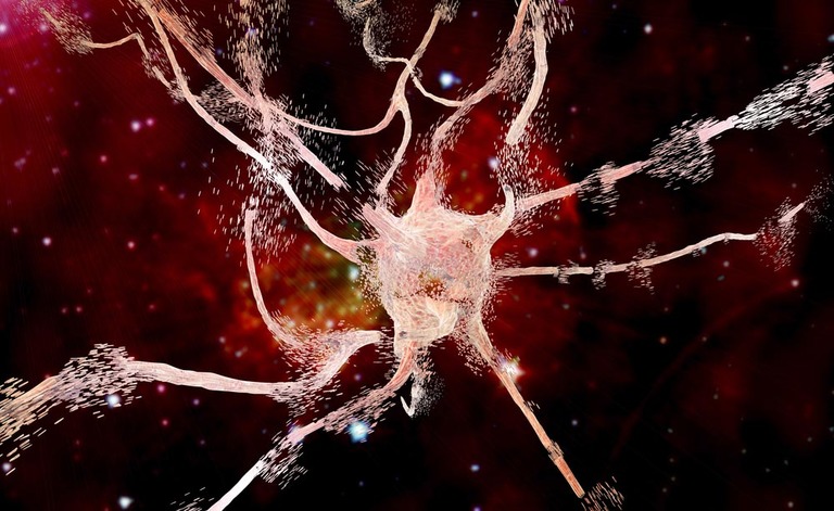 malattie neurodegenerative: 2 farmaci per una possibile cura