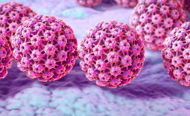 HPV: polemica su Report