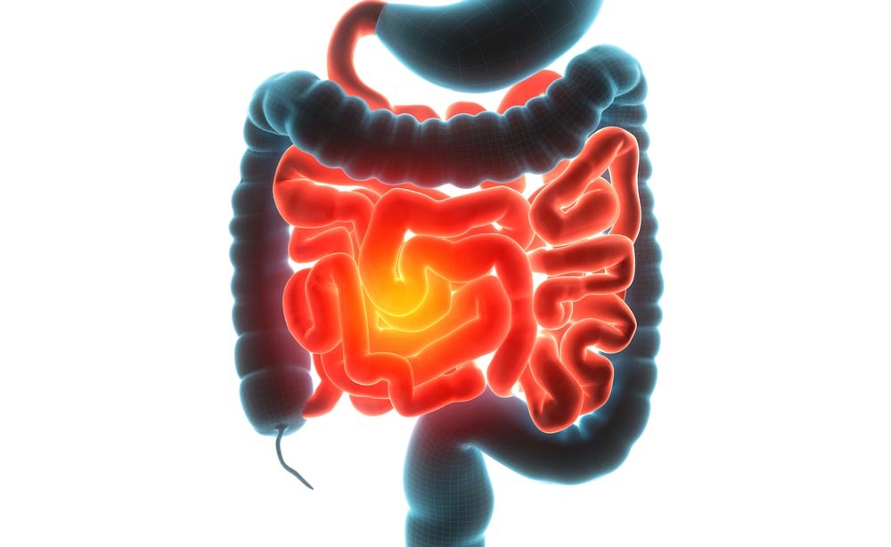 morbo di crohn: diagnosticarlo con un esame del sangue