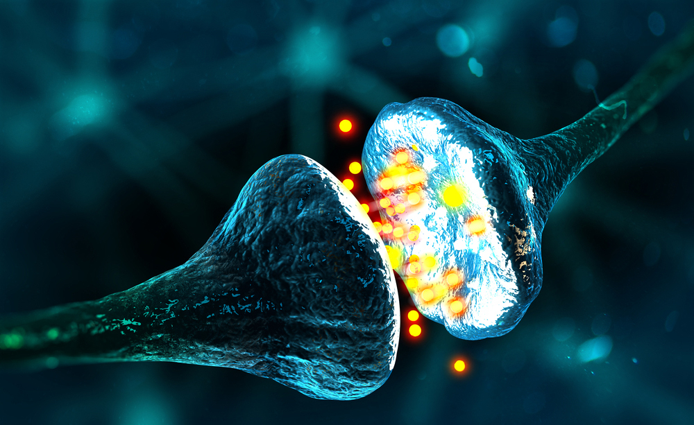 sinapsi artificiale ricreata in laboratorio