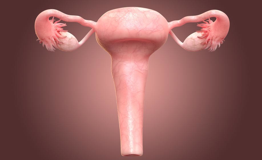 cancro alla cervice uterina