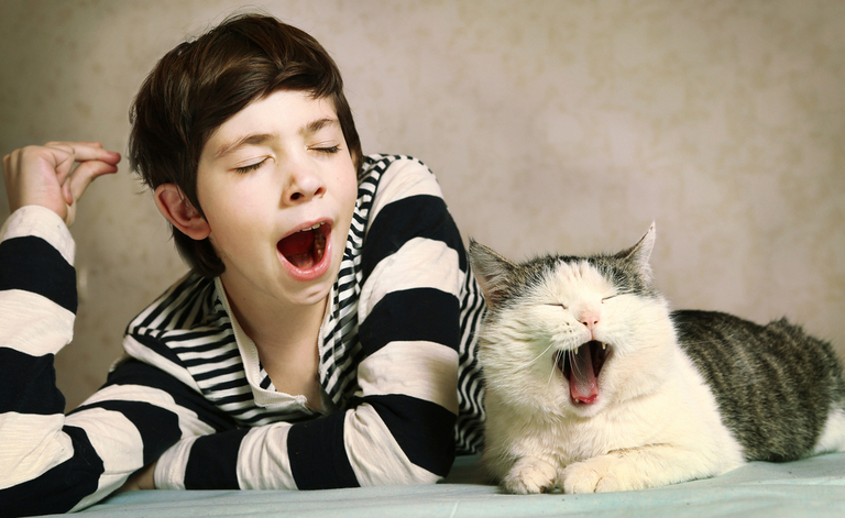 pigrizia: ecco perché è contagiosa!