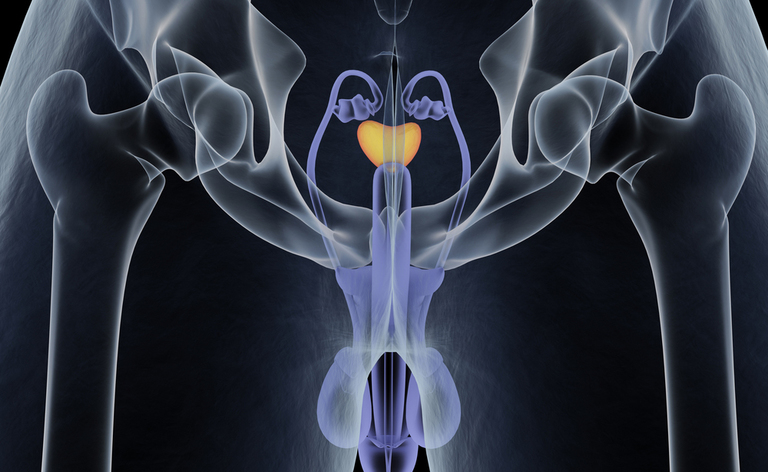 prostatite: i sintomi del disturbo alla prostata