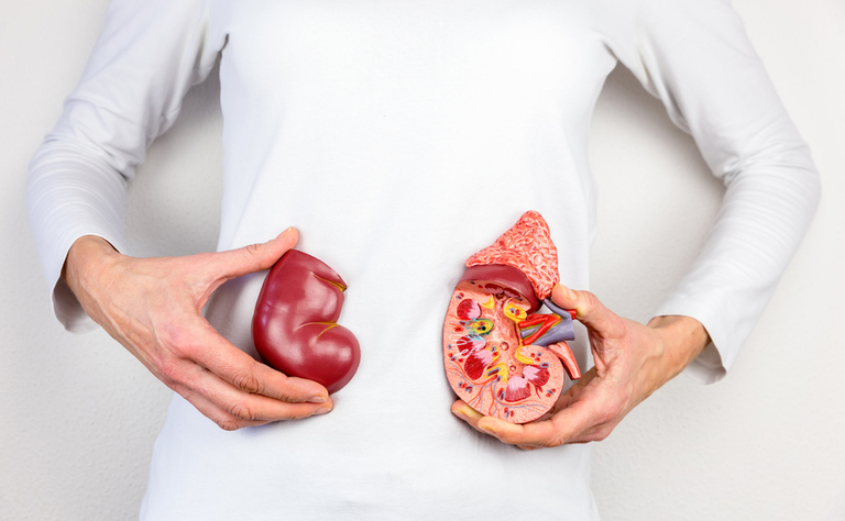 visita nefrologica: come prepararvi