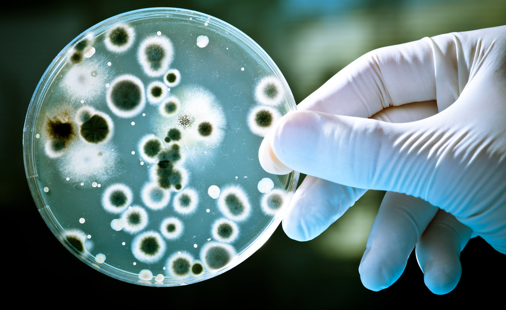 batteri sulle mani: come lavarsi bene le mani