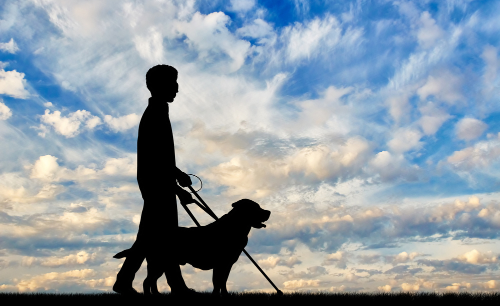 cecità: l'importanza di sfruttare gli altri sensi