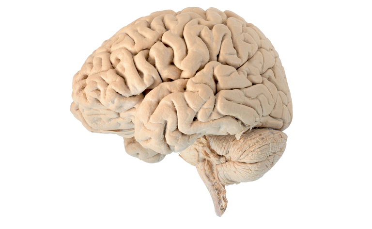 sindrome di Tourette: sintomi cause e terapie