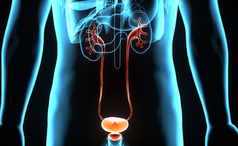 cistite: scopriamo le cause i sintomi e i rimedi di questa infezione delle vie urinarie
