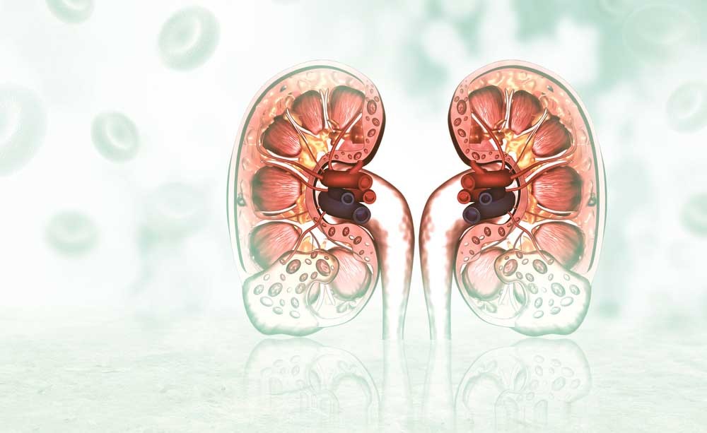 funzionalità renale: attenzione al diabete