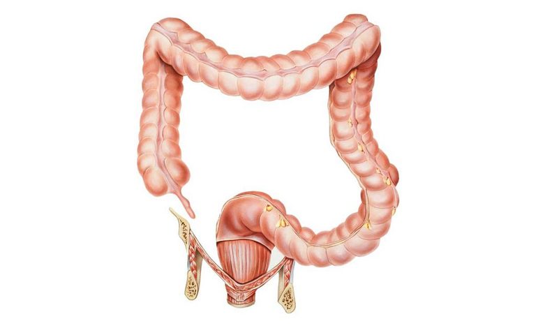 appendice come uretere: un trapianto è stato possibile per una bambina di 2 anni