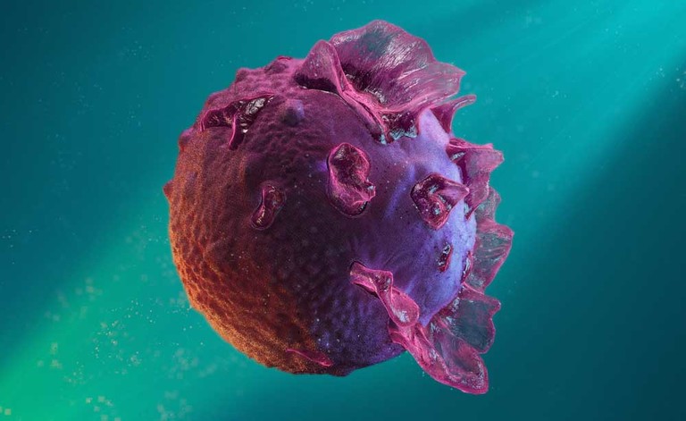 mononucleosi: sintomi, cause e terapie