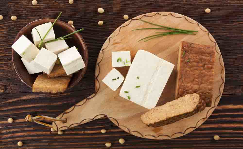 probiotici: perché sono importanti per l'organismo