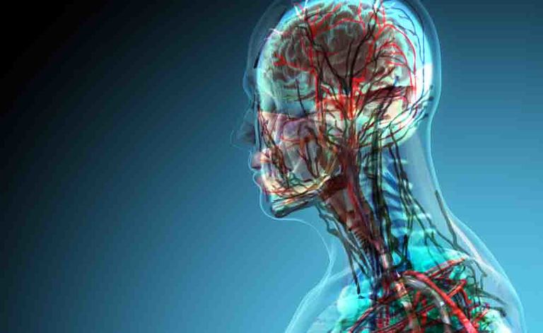 malattie autoimmuni: il rischio di alzheimer