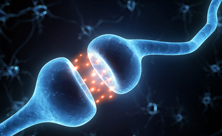 sistema nervoso: i sintomi dei danni ai nervi