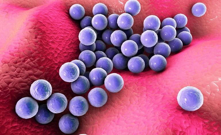 sindrome da shock tossico: causata da assorbenti interni